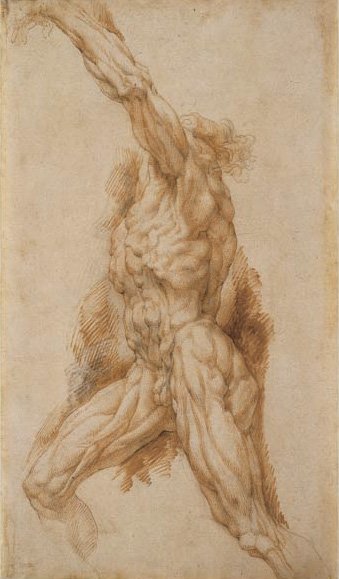 Anatomical Study of a Man Reaching Up to the Left