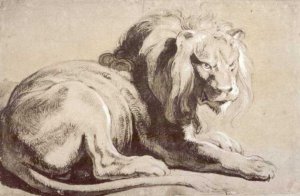 Etude of lion